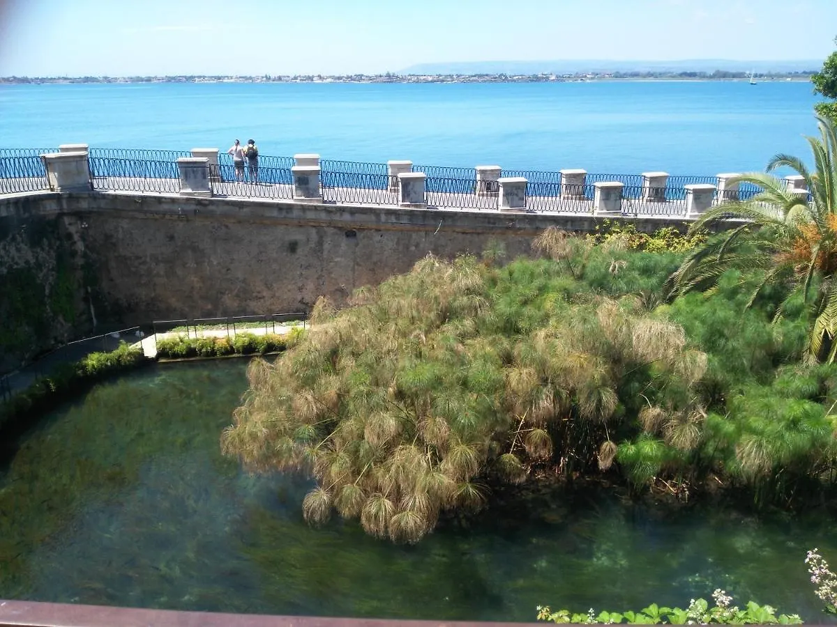 A Ficurinia Apartment Syracuse